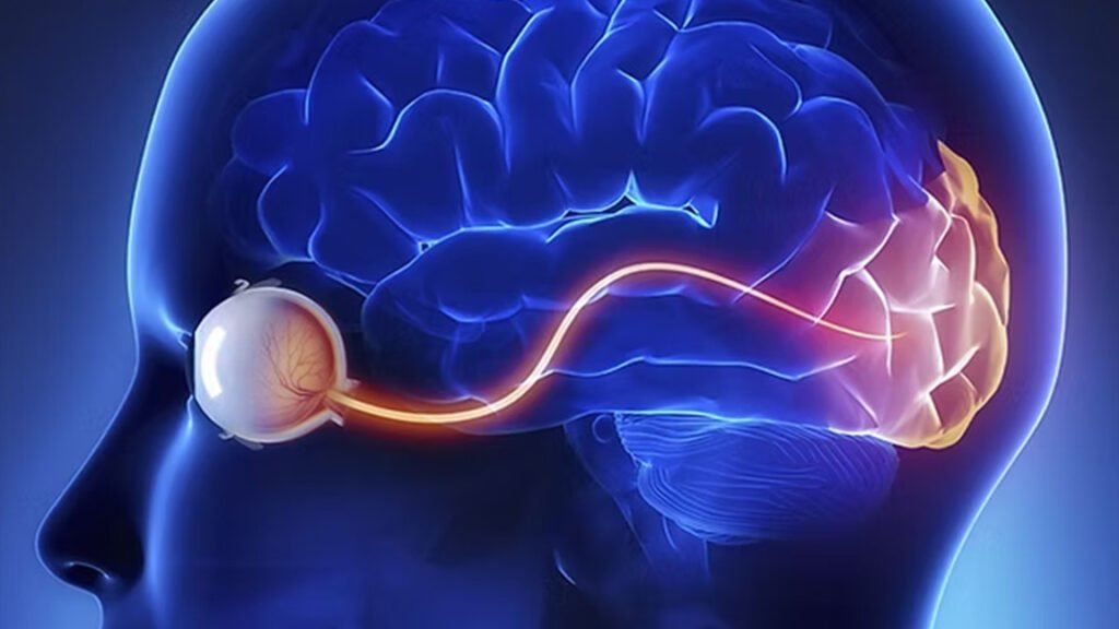 Exame neuro-oftalmológico — Dra. Grace Peng, neuroftalmologista em Alphaville